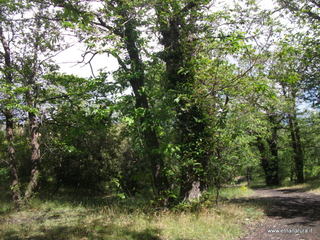 anobello-26-05-2013 10-16-11